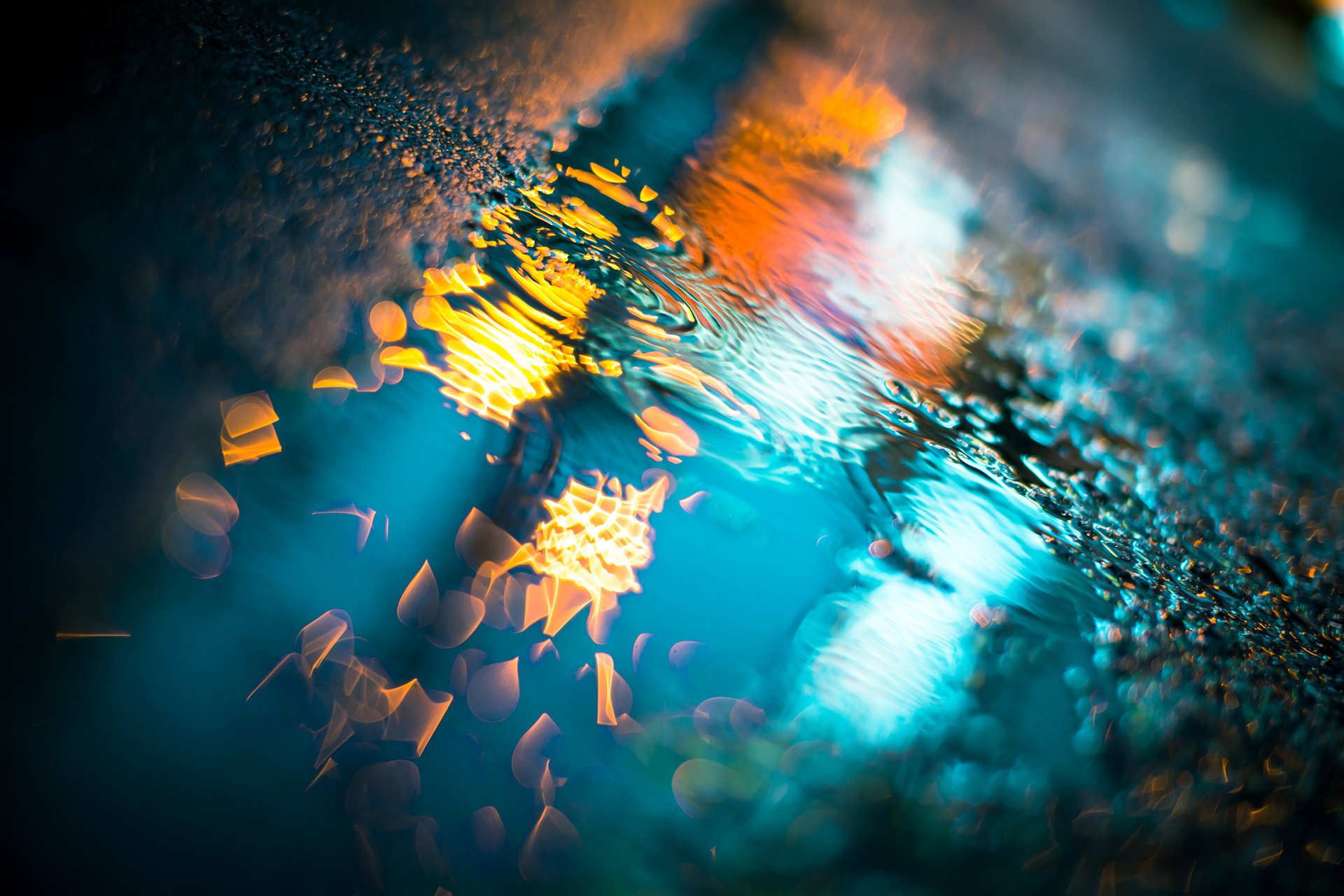 close up wet rain pools asphalt drops light night