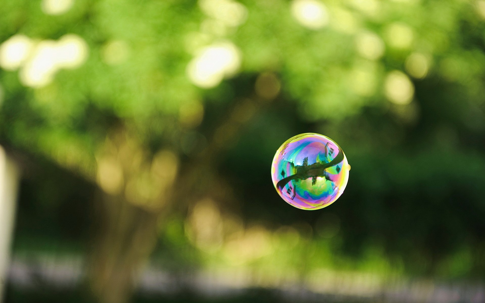 photo bubble soap ball reflection green