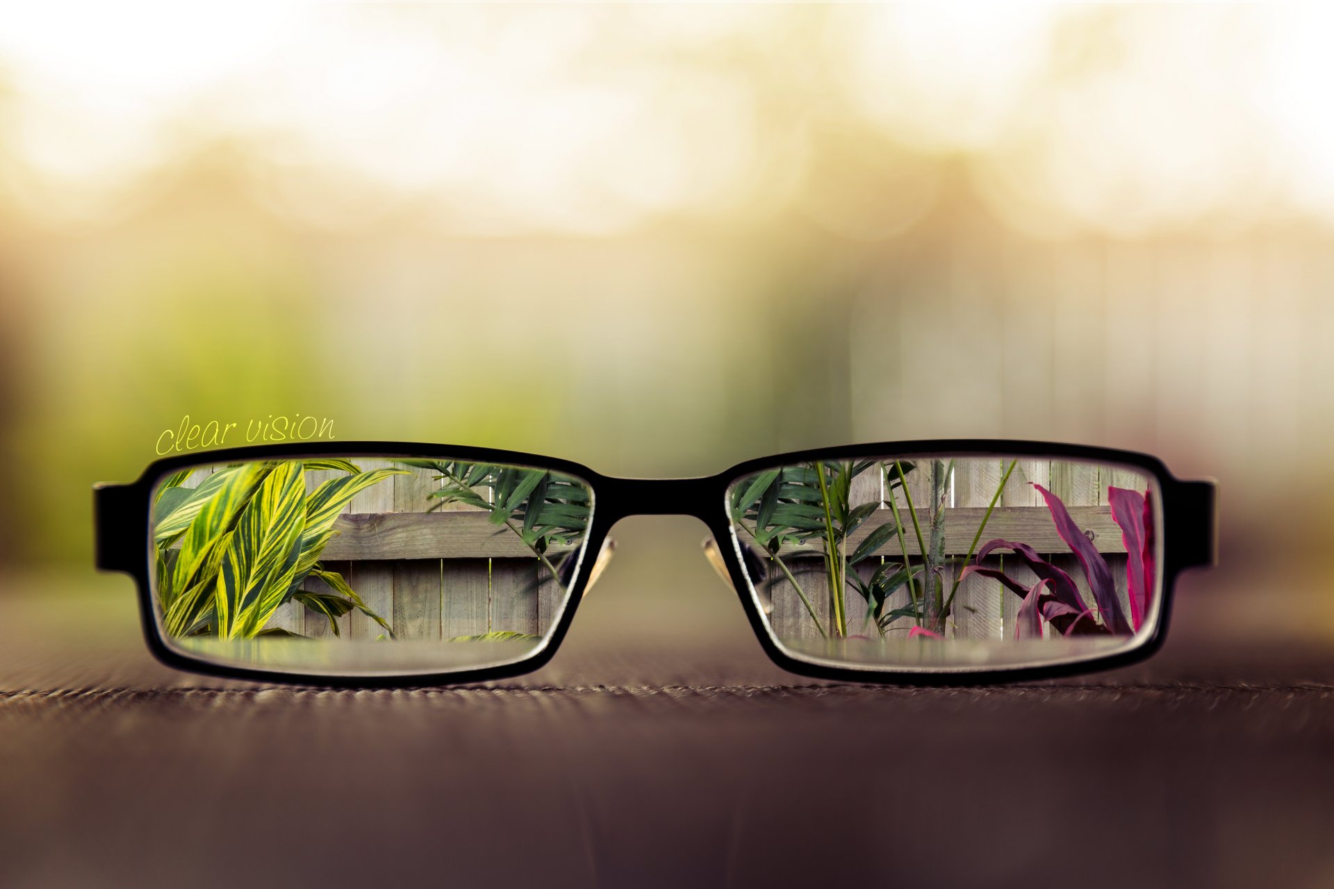 clear vision table sunglasses lens fence leaves pots plant