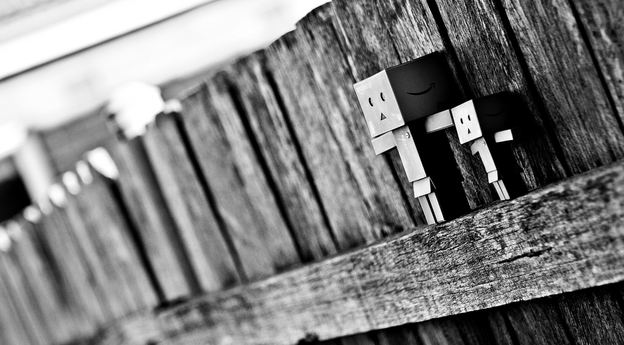 box fence close up danbo blur