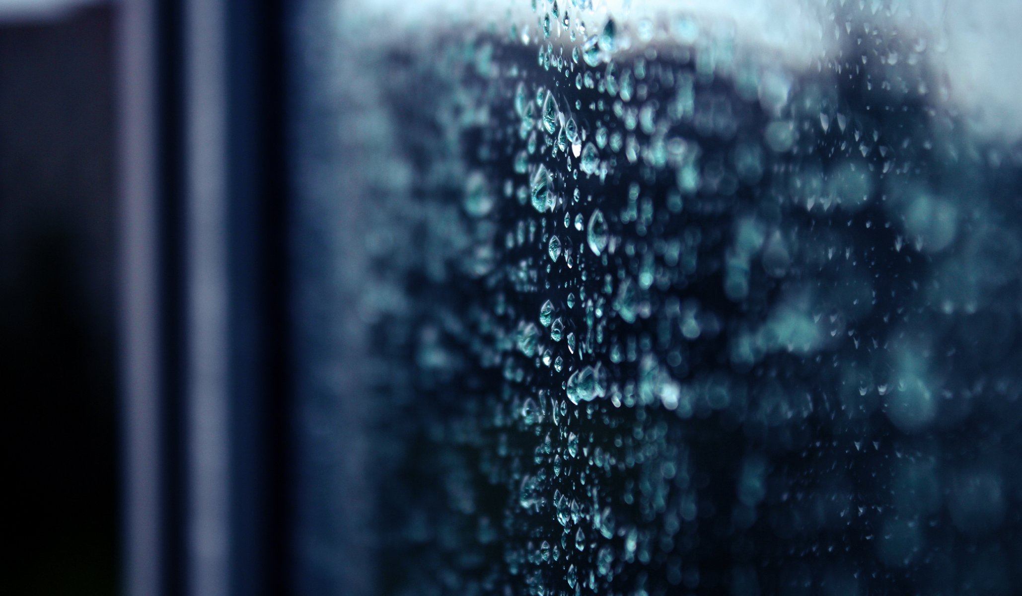 macro gotas lluvia bokeh