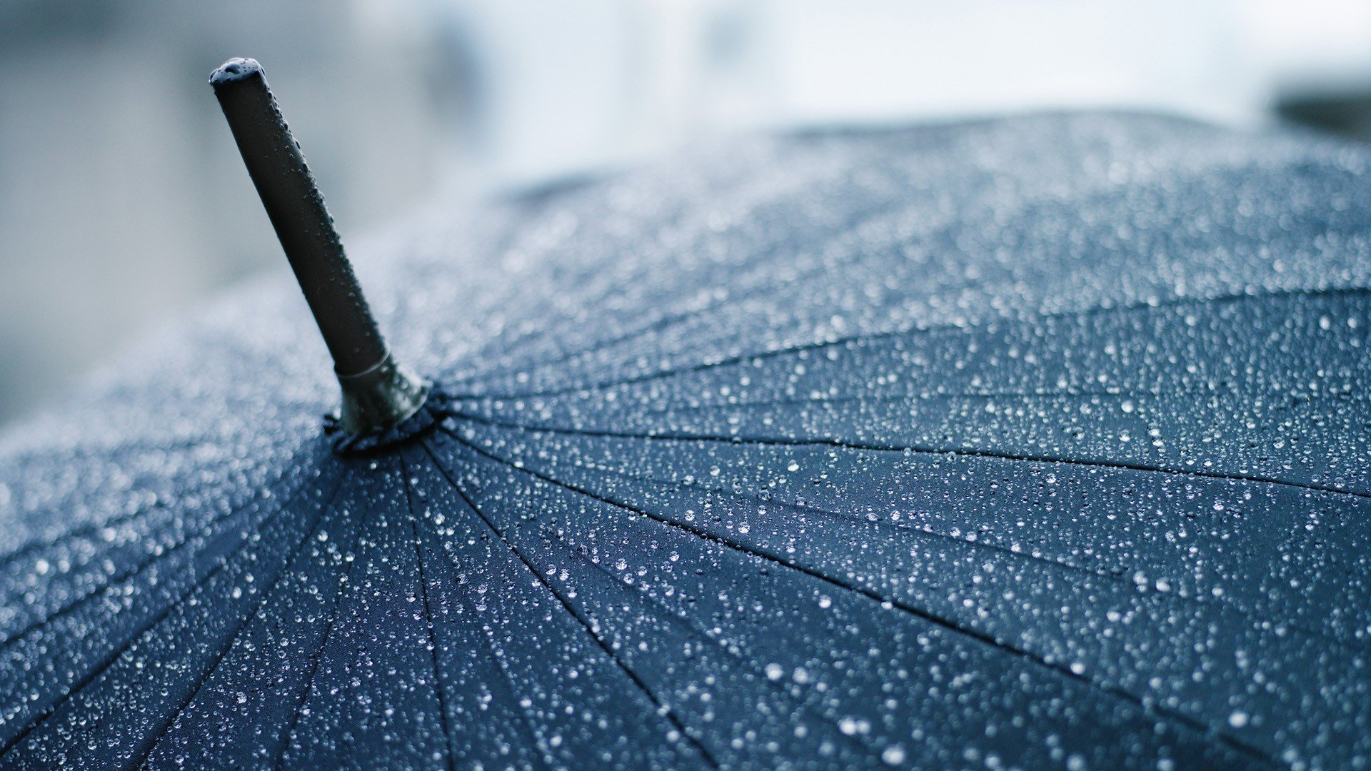 macro drops umbrella umbrella rain