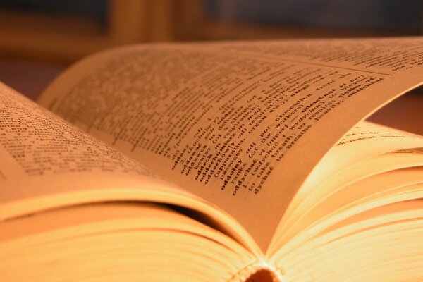 Sheets of the book under the macro and on white paper