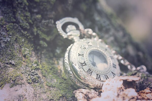 Vintage clock in a mountain rock