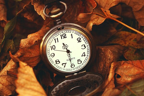 El otoño es una época maravillosa del año. Las hojas son como un reloj que muestra el tiempo de transición de un estado a otro