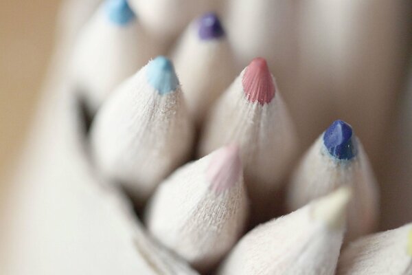 Colorful thick pencils in her purse