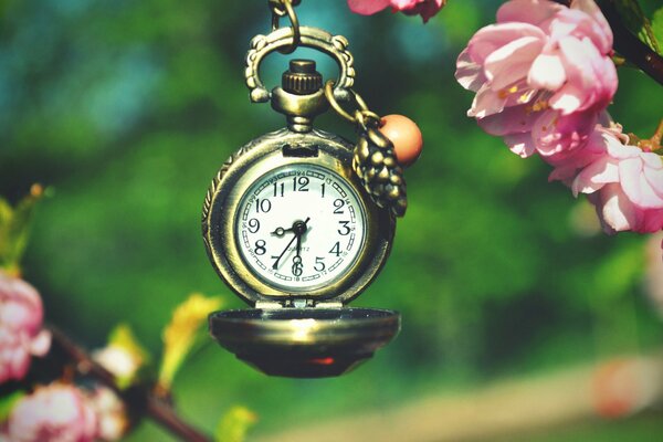 Macro reloj de disparo en el fondo de flores y vegetación