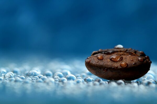 Kaffeebohnen in Wassertröpfchen