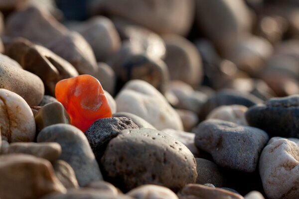 A red pebble among gray pebbles