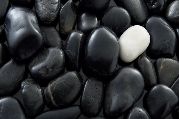 Guijarros de mar negro con piedra blanca