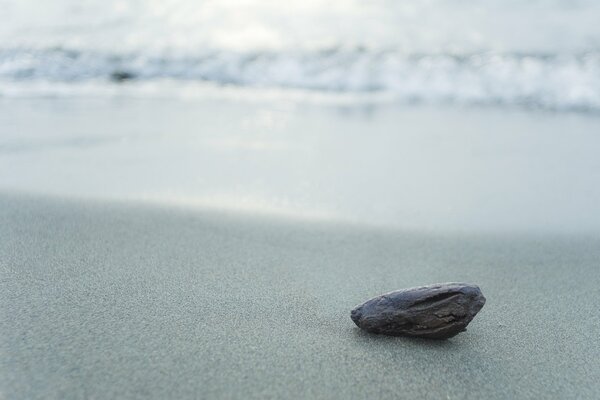 Grey stone on the seashore