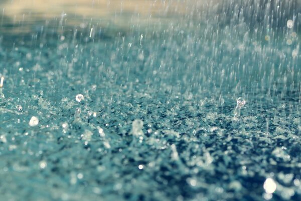 Gotas de lluvia caminando por el césped