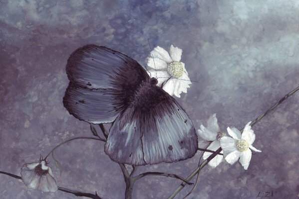 Blue butterfly and chamomile flowers