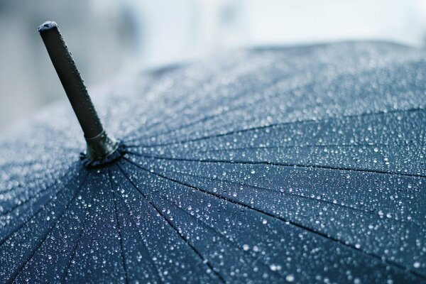 Raindrops on a large umbrella