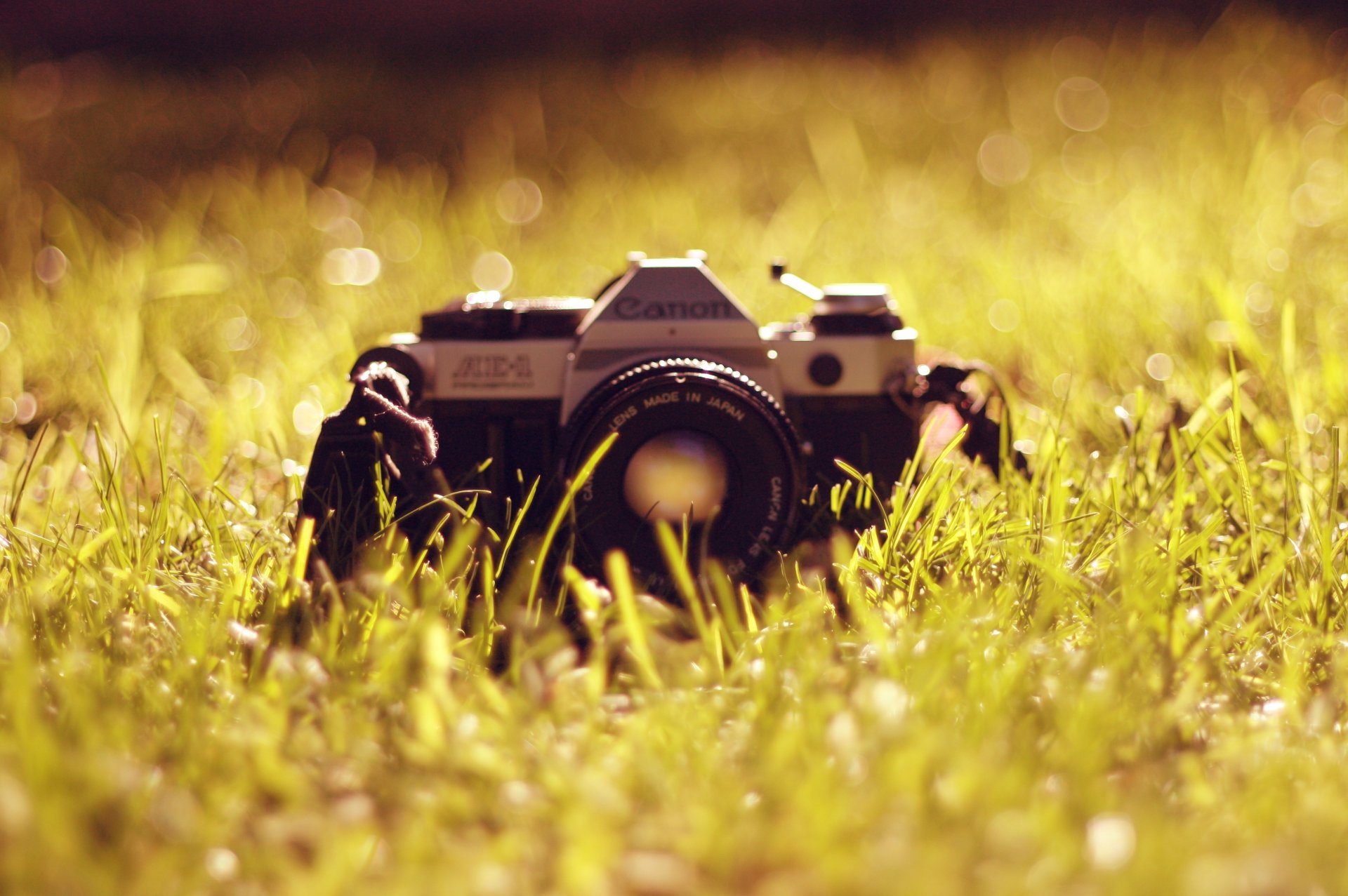 macchina fotografica canon erba lente antiquariato