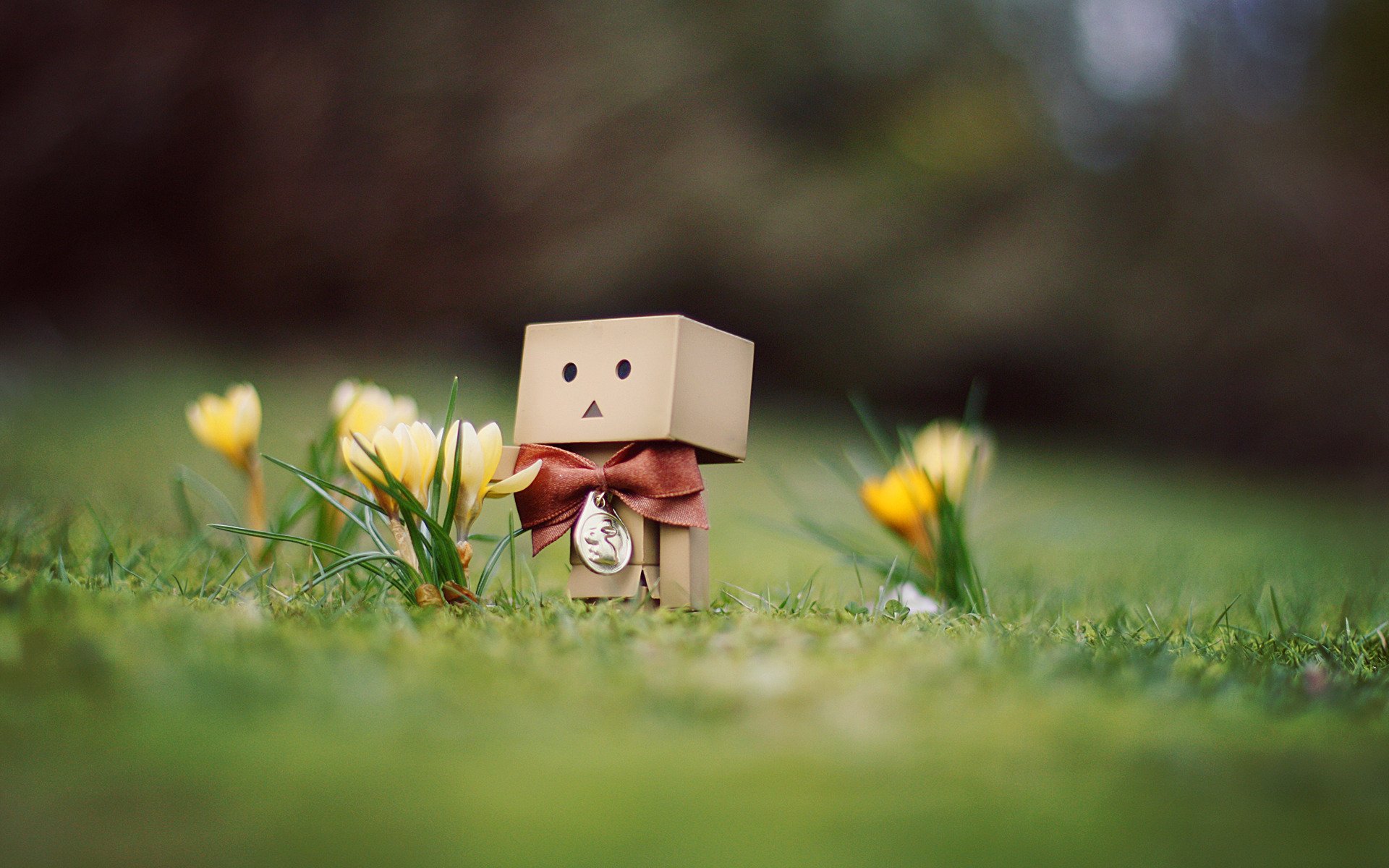 danbo человечек удивление цветы крокусы трава весна