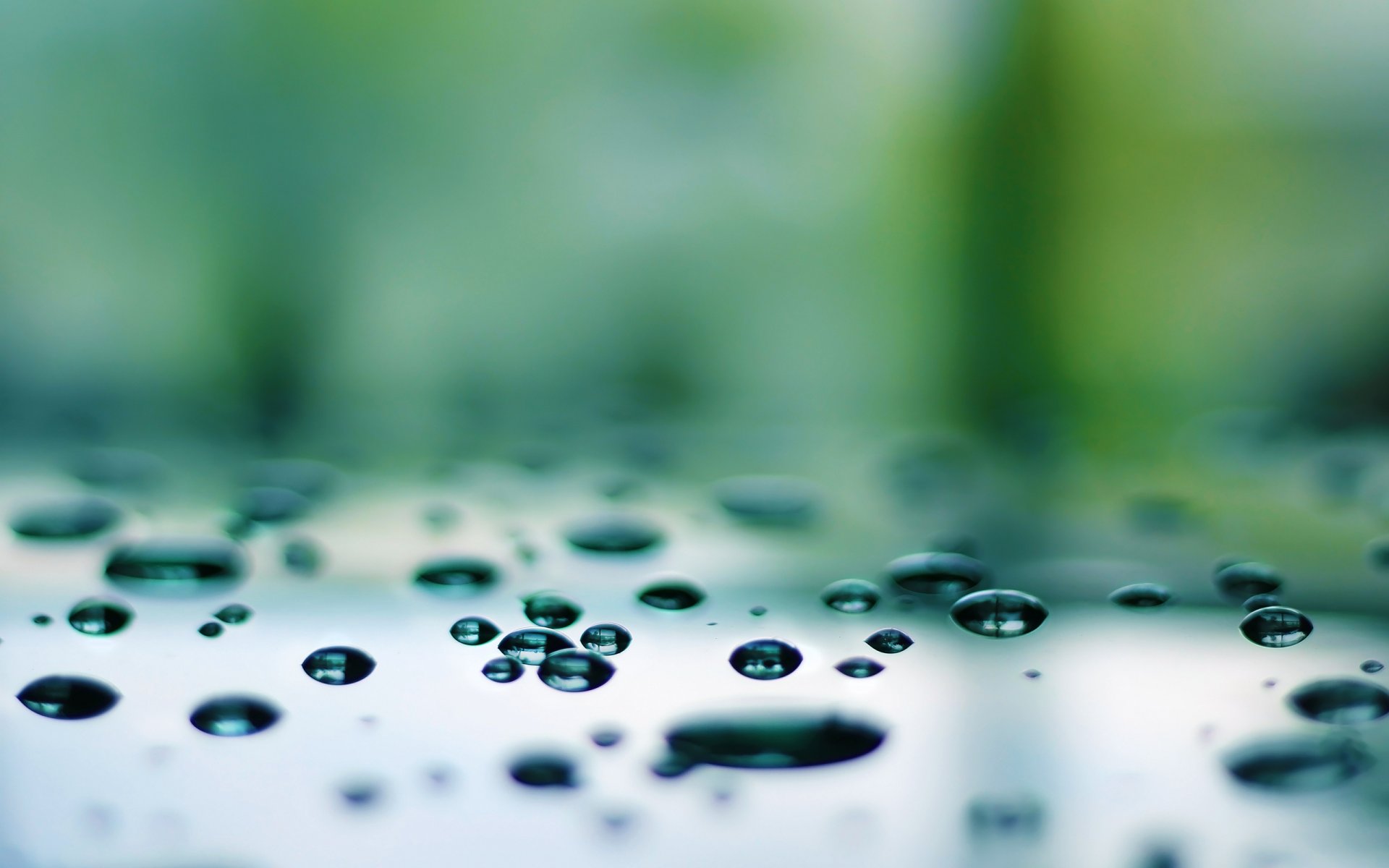 close up drops water reflection macro 2560x1600