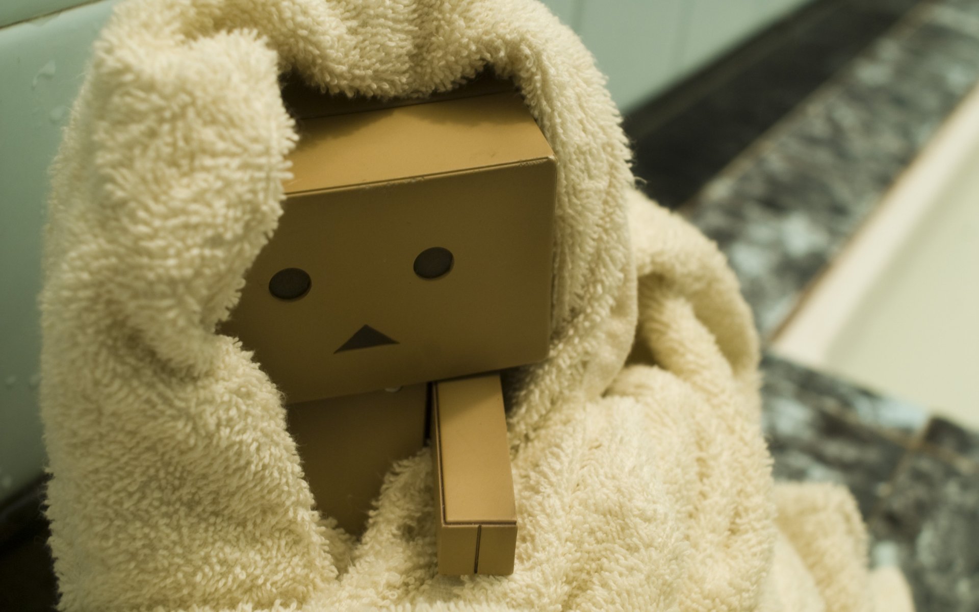 картон коробка голова danbo