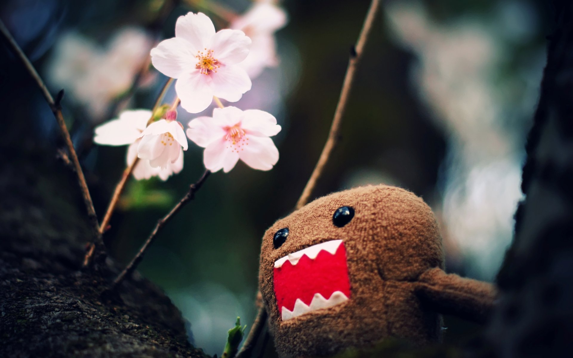 macro photo tree branches flowers toy character domo-kun domo-kun wallpaper picture