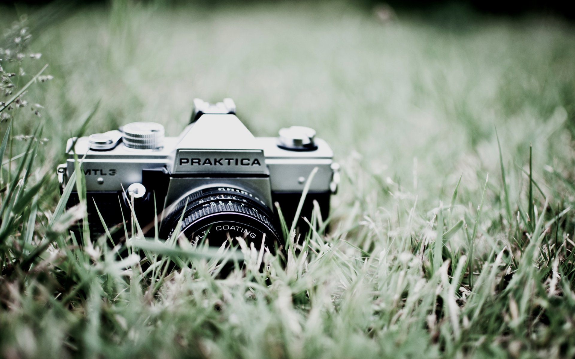 gras grün natur kamera praktica objektiv foto makro hintergrund hintergrundbilder