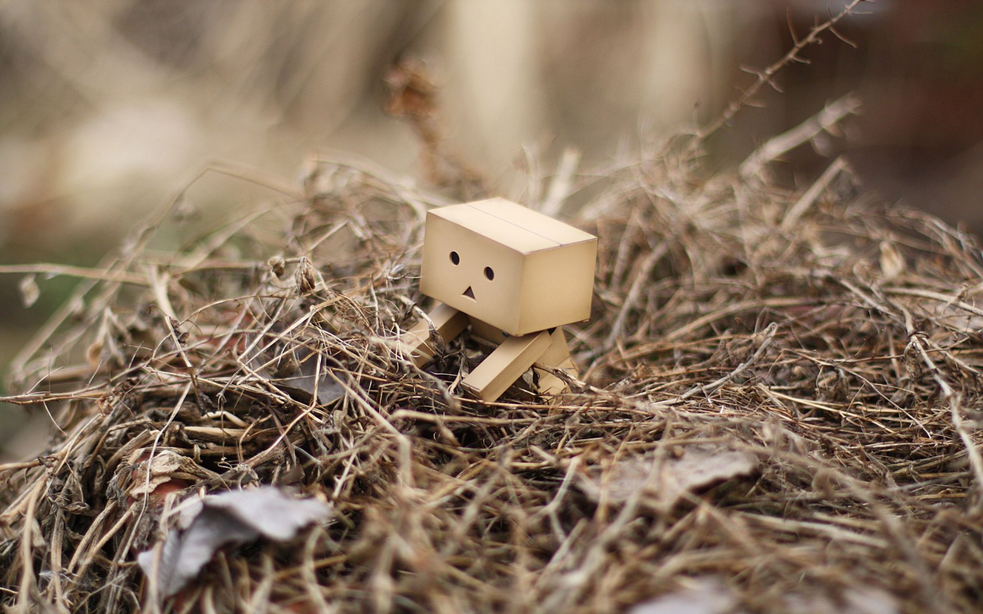 danbo robot pila hierba hojas