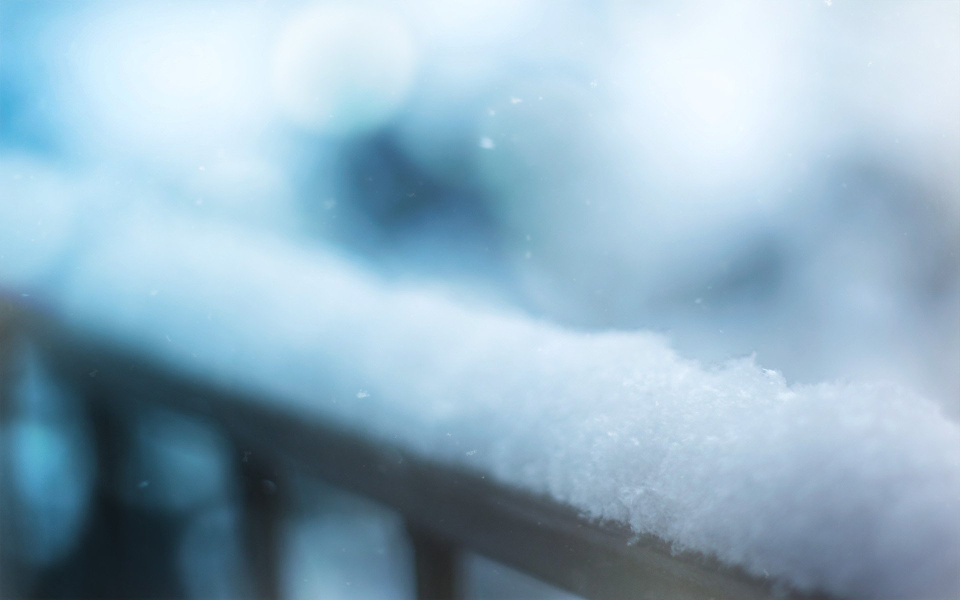 photo close up winter snow background wallpaper