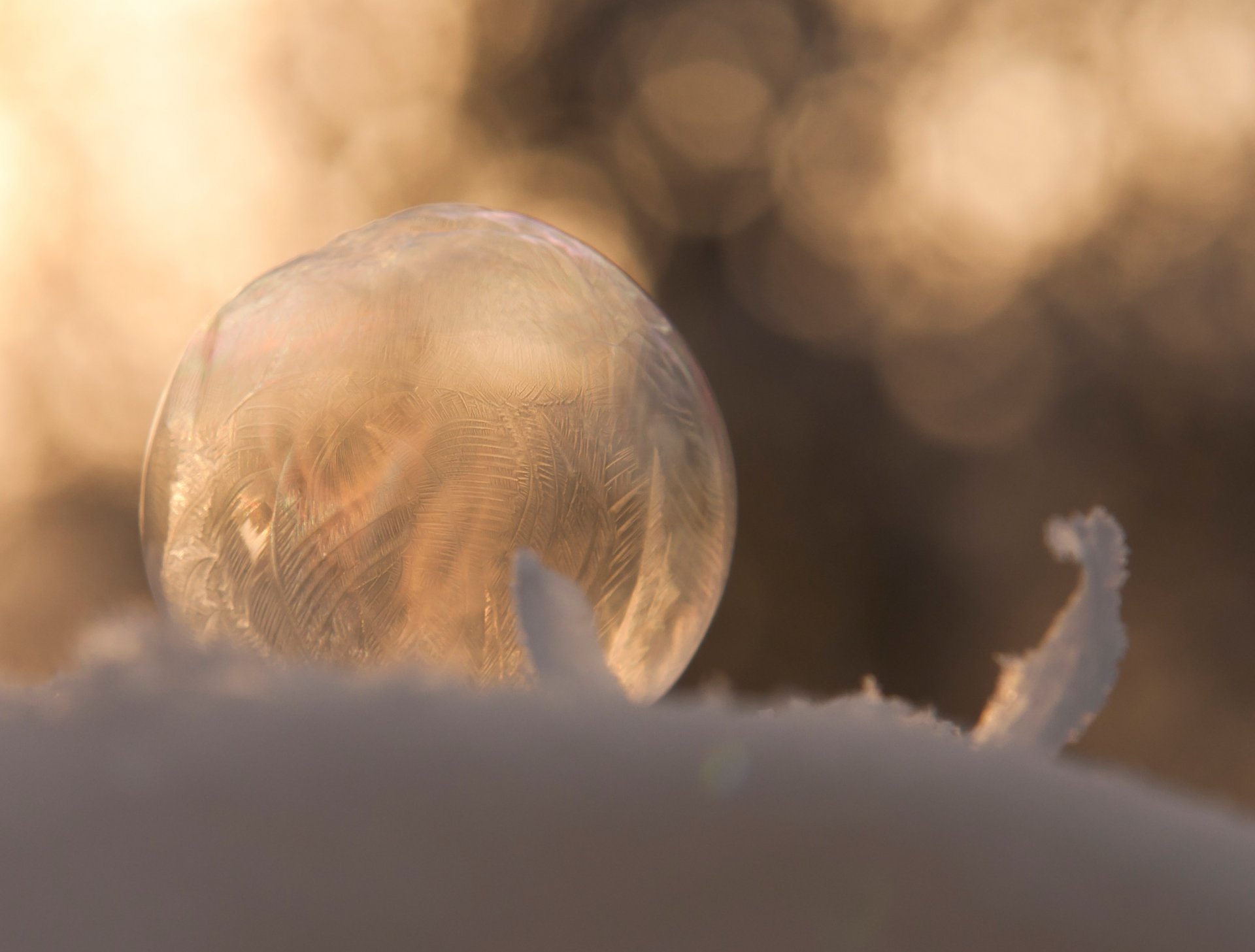 bulle savonneux gelé neige hiver modèle gros plan