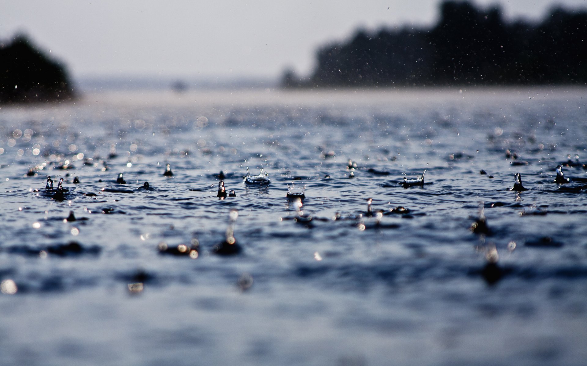 gota gotas lluvia lluvias agua mojado lluvia duchas