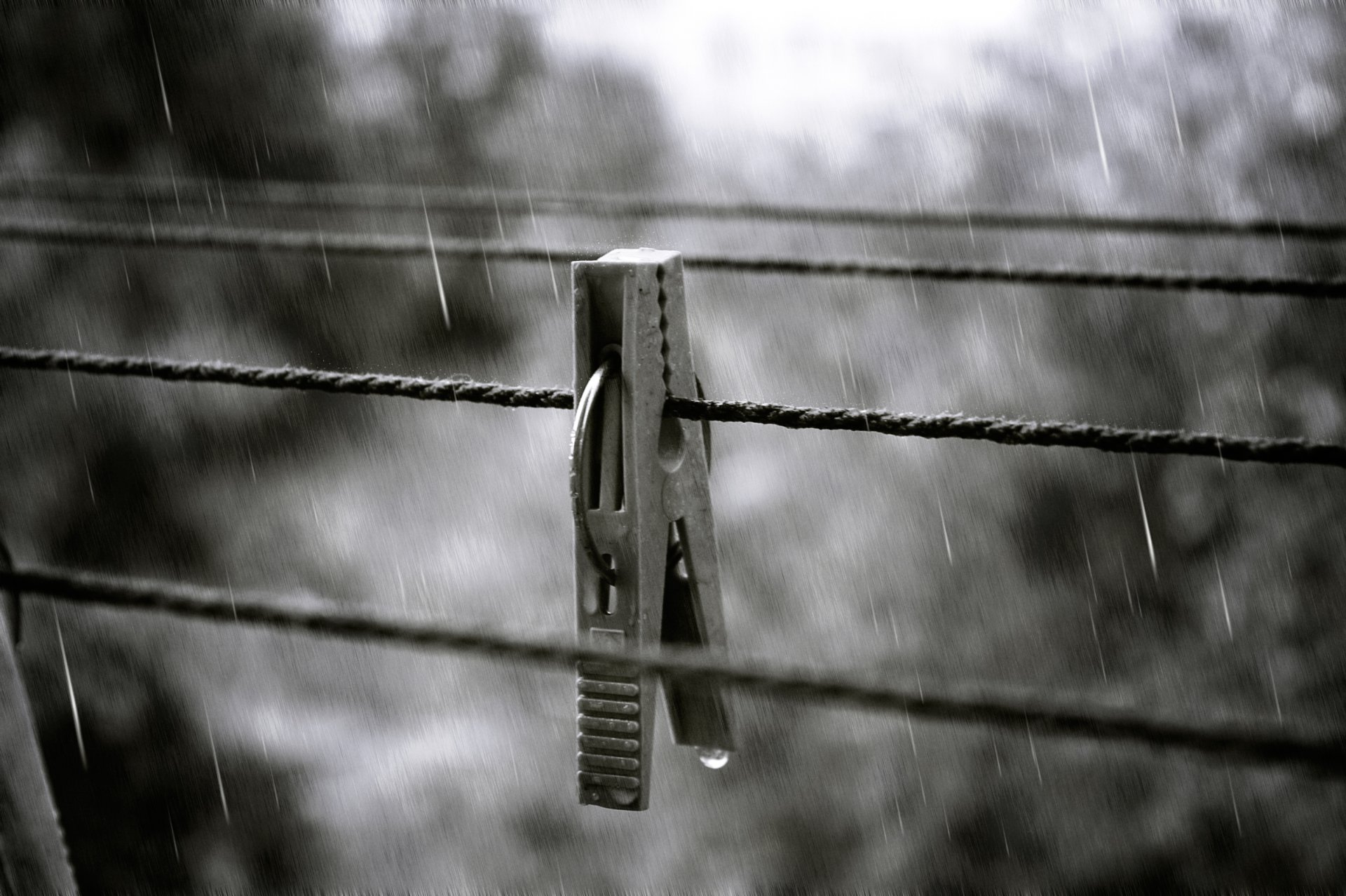 pinza de ropa lluvia salpicaduras otoño gota