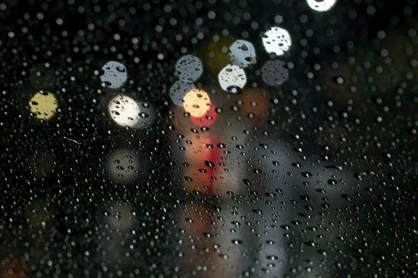 Gotas de lluvia brillan en el vidrio