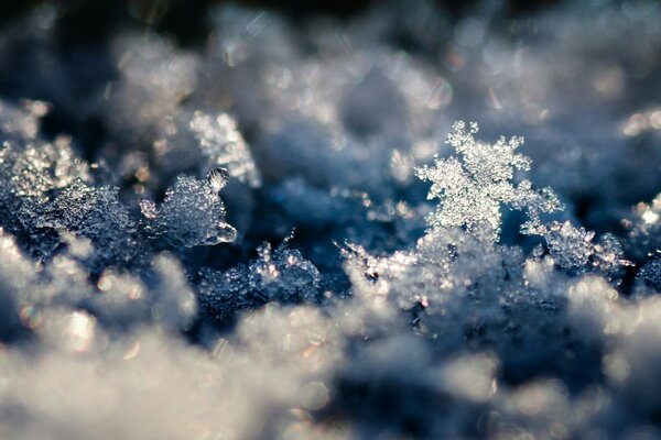 Foto di carta da parati inverno nevoso