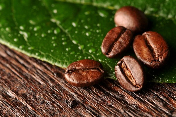 Granos de café en una hoja verde