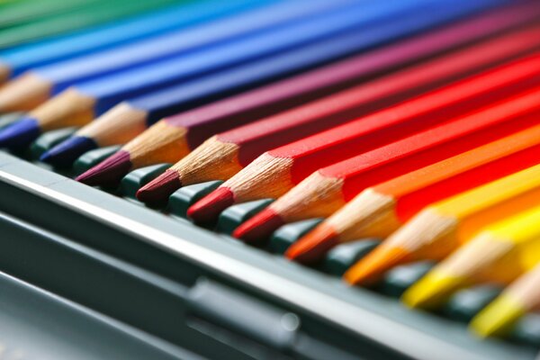 Étui à crayons de couleur pour le dessin