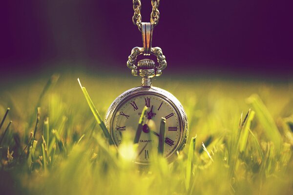 Green grass. Macro image of the clock