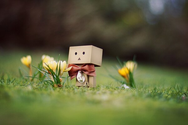 Cardboard man with flowers in a meadow