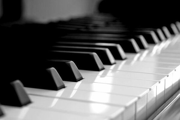 Black and white piano keys