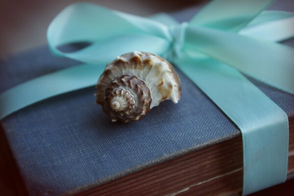 The shell is on the gift book