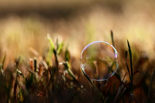 An unusual frame of a soap bubble