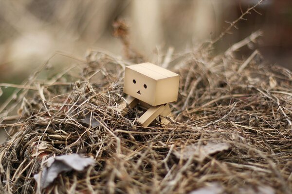 Uomo di legno sull erba secca