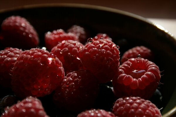 Teller mit Himbeeren mit Tautropfen