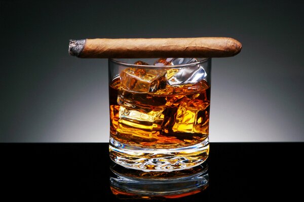 Cigare couché sur un verre de whisky