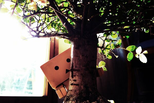 Cute box man by the tree