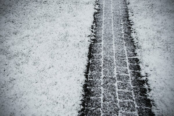 Traccia pneumatici su strada invernale