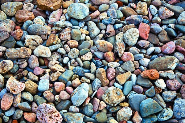 Rocky beach. Bright texture