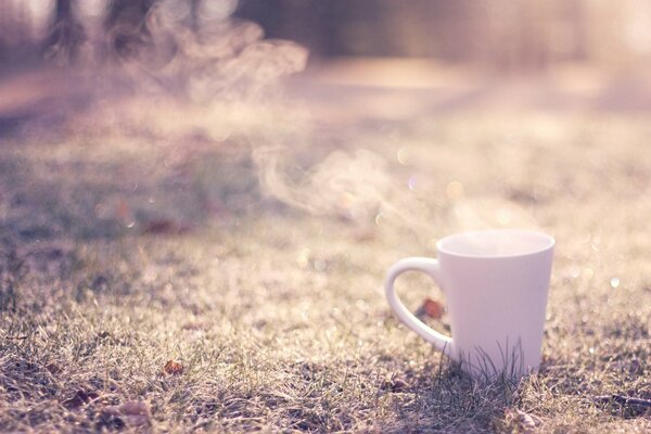 Tasse sur fond d herbe séchée