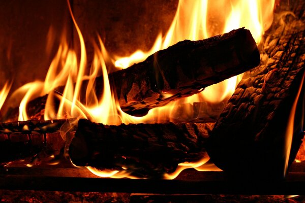 Leña quemada en el horno