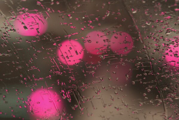 Glass and water drops, pink lights