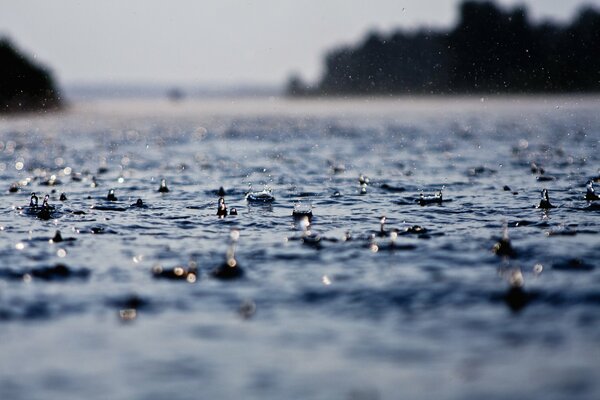 Gocce di pioggia sull acqua