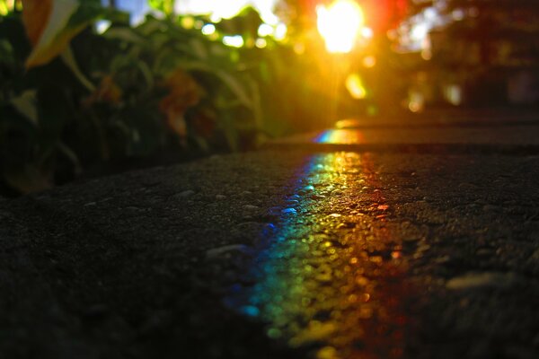 Regenbogen auf Asphalt. Helles Foto