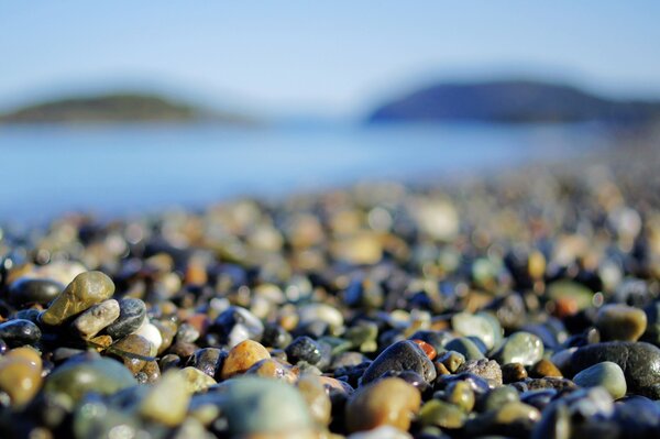 Photo de gros plan de pierres sur la plage